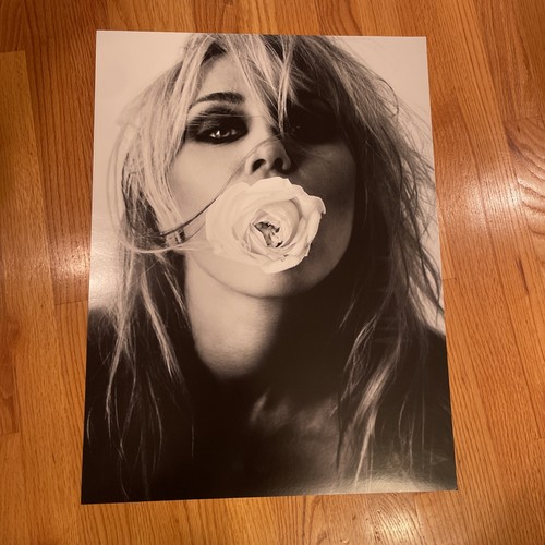 2026 miley cyrus bass - 2026,